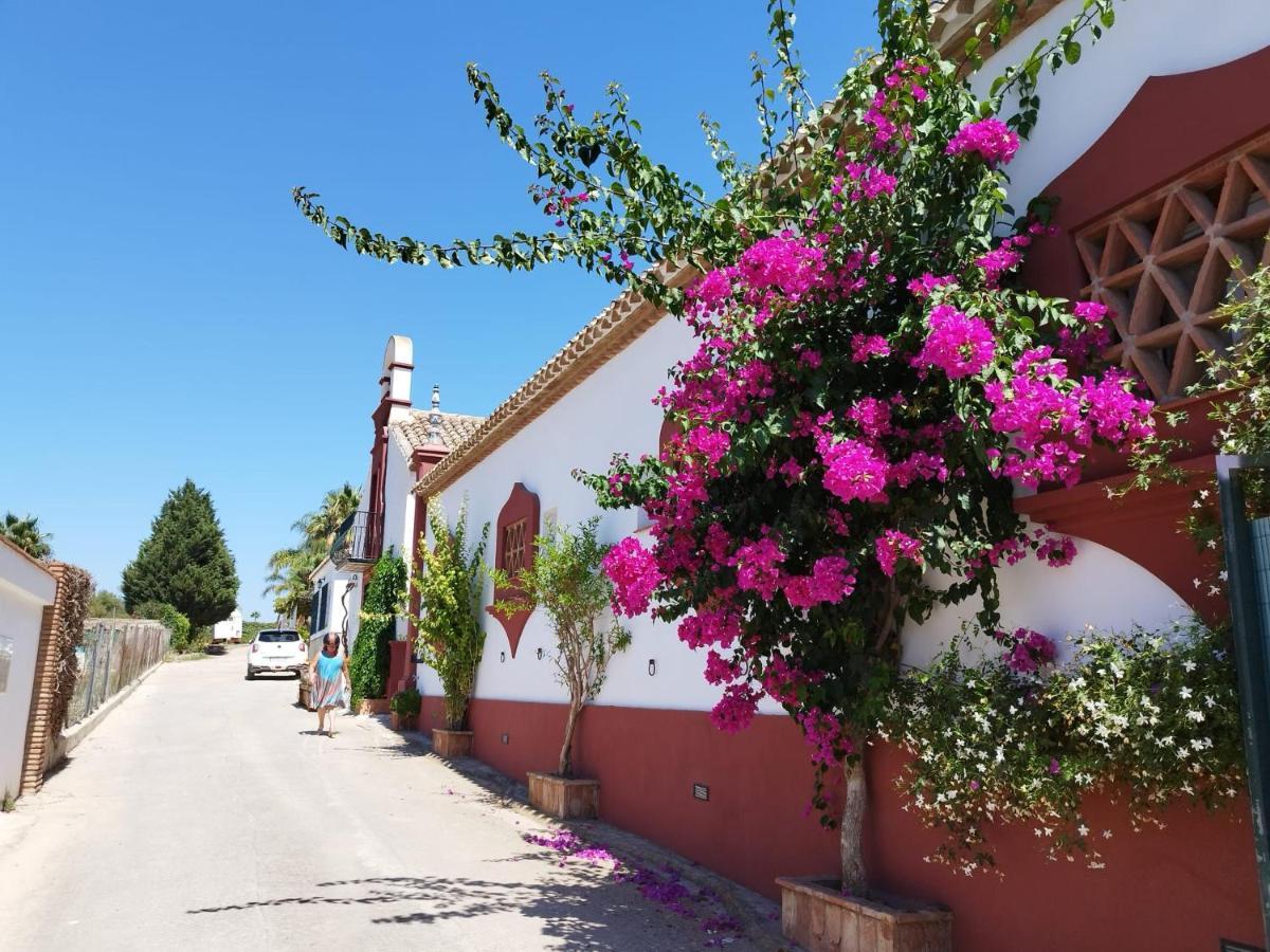Finca El Altabacar - Casa Rural - Playa Fuengirola Ngoại thất bức ảnh