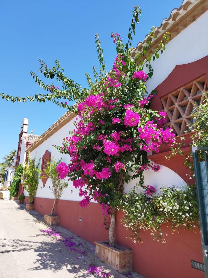 Finca El Altabacar - Casa Rural - Playa Fuengirola Ngoại thất bức ảnh